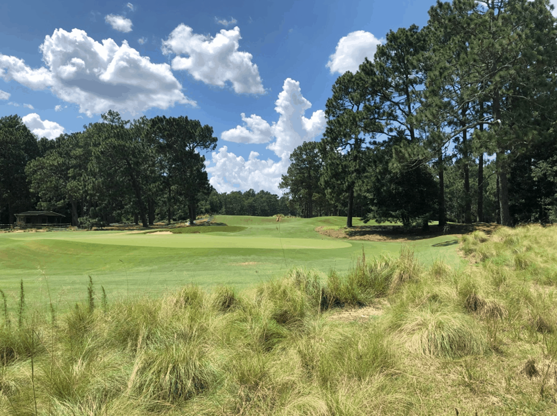 Three Donald Ross Courses in One Special Resort